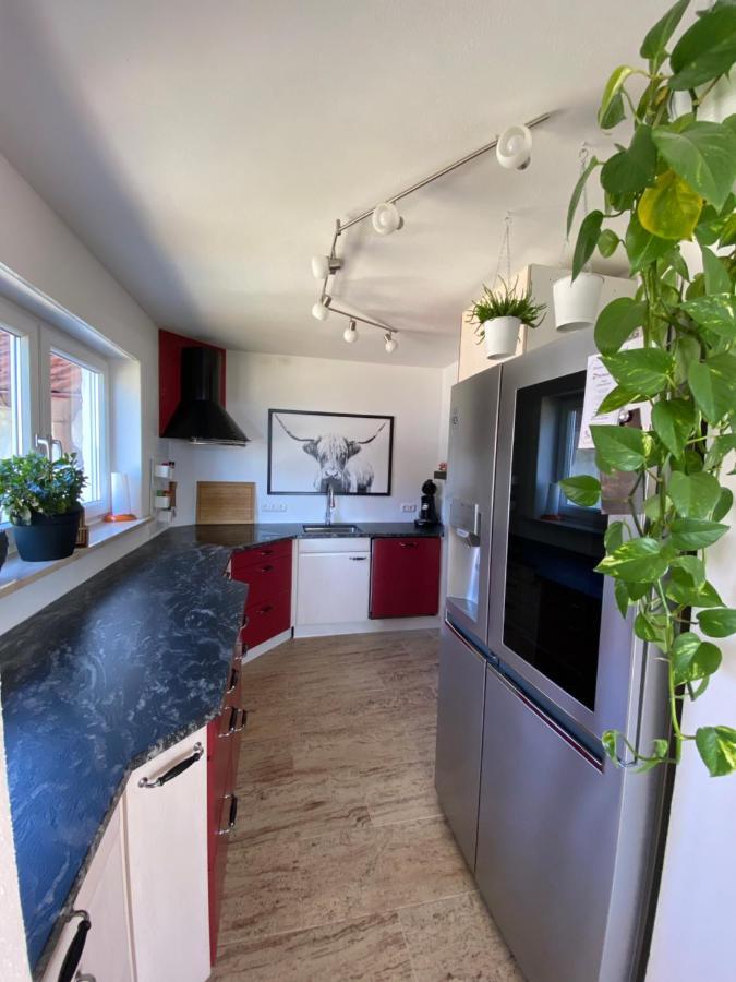 הוילה Leutkirch im Allgäu Ferienhaus Alpenblick Auf'M Vorderberg מראה חיצוני תמונה